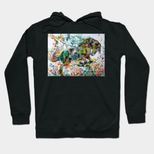 WATERCOLOR HORSE .1 Hoodie